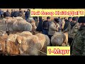 КАРАВАН КОЙ БАЗАРЫ!!! 1-Март АРАШАН ПАРОДАЛАР КЕЛДИ