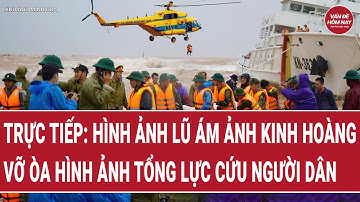 🔴[Trực tiếp] Hình ảnh lũ ám ảnh kinh hoàng, vỡ òa hình ảnh tổng lực cứu người dân thoát dòng lũ dữ