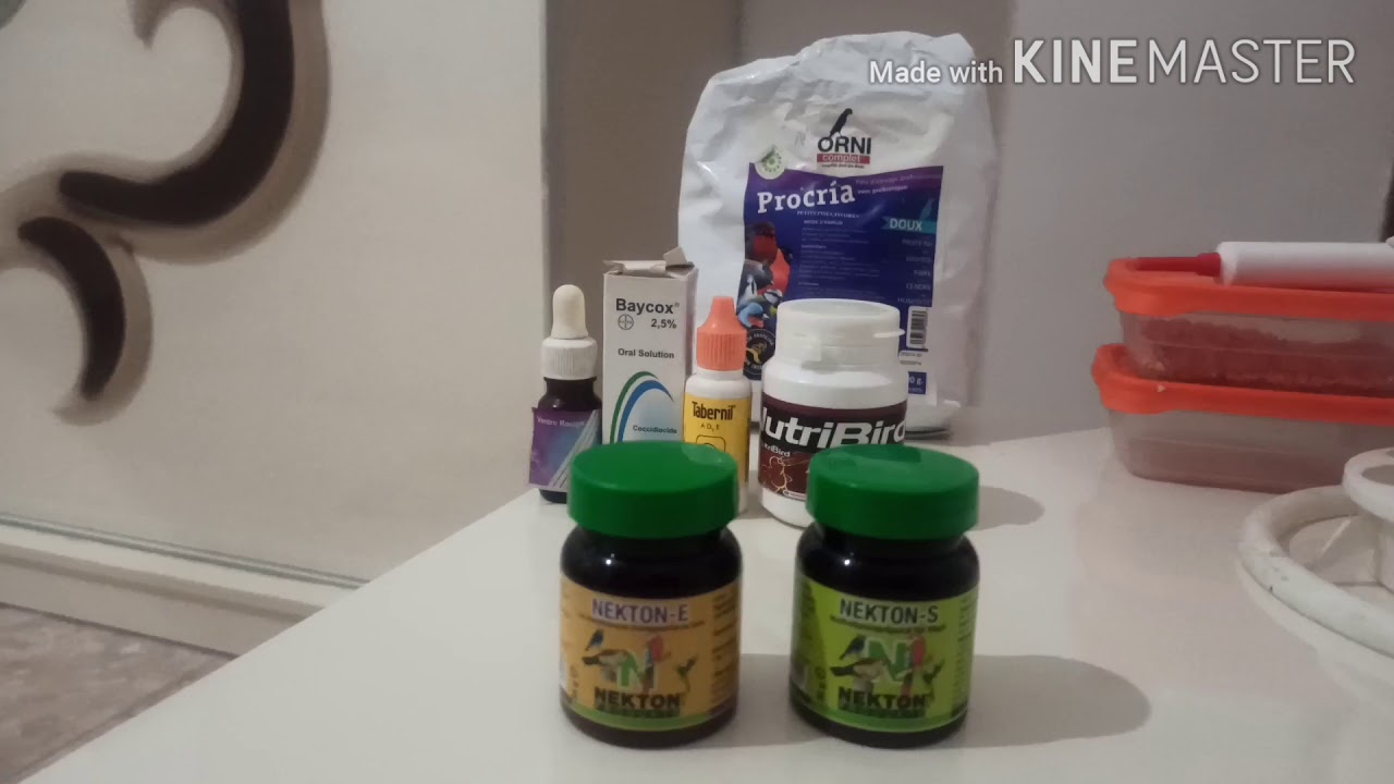 الاستعمال الصحيح للمكملات الغذائية nekton e و nekton s