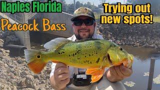 Peacock Bass Fishing Naples Florida! Trying Some New Spots! Underwater Footage Peacock Bass and More