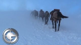 High Country Wyoming Elk Hunt
