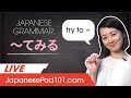 Japanese Grammar: 〜てみる (try to ~)