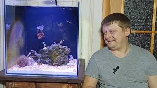 картинка: морской аквариум. мое первое море. часть 6