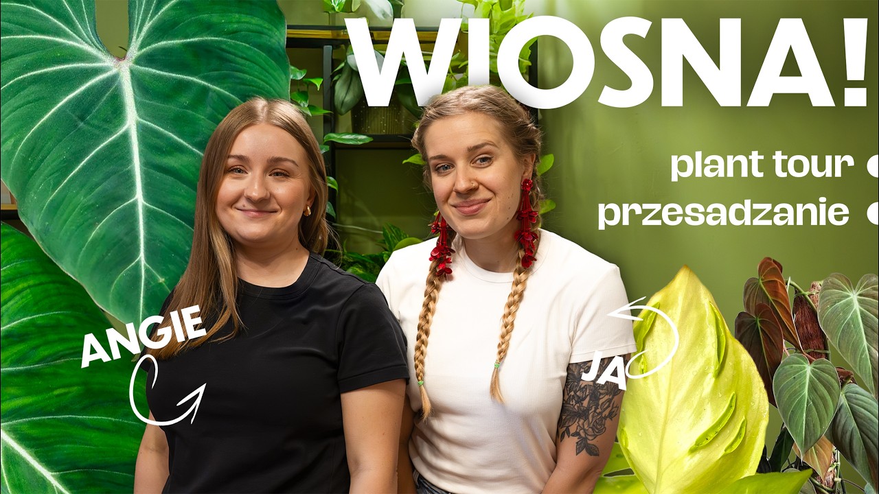Wiosna - plant tour i przesadzanie u Angie | piękne rośliny | zaskoczenia w doniczkach
