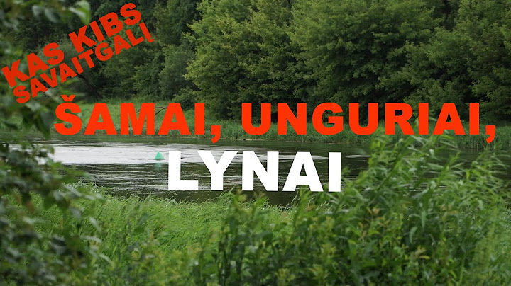 Alkani lynai,nesibaigiantys karosai, Nemuno karšiai. Kas kibs savaitgalį