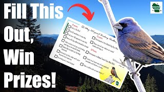 Take the Birding Checklist Challenge! (Migration Madness May Challenge 2024)