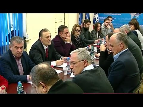 ოპოზიციური პარტიების კონსულტაცია