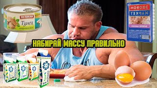 Это самые дешевые и доступные источники белка! Продукты где много белка.