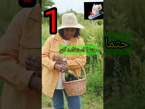 تصویری: ونتیلاتور پزشکی با STONE HMI ESP32: 10 مرحله تصویری: ونتیلاتور پزشکی با STONE HMI ESP32: 10 مرحله