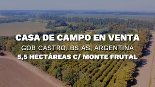 Excelente CASA DE CAMPO en VENTA - Gobernador Castro, Buenos Aires