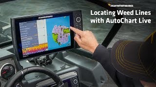 How to Find Weed Lines with your Fish Finder | Humminbird screenshot 5