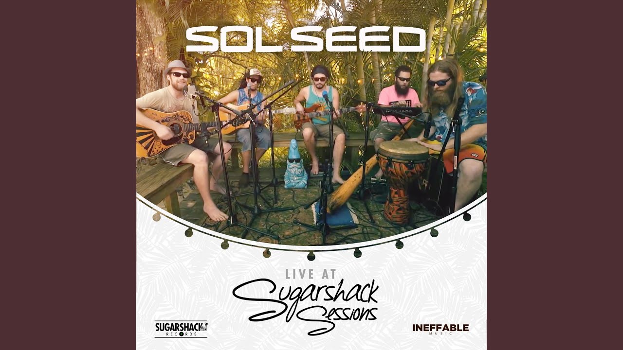 Family Tree (Live Sugarshack Sessions) YouTube