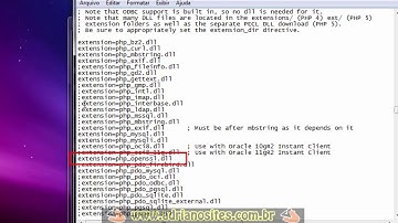 Instalando PHP Composer de forma global