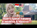 Malaysian Reaction Perbezaan Kampung di Indonesia & Kampung di Malaysia