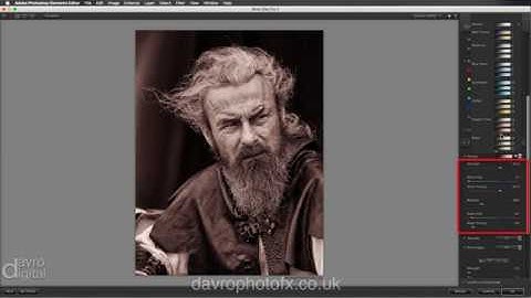 Using Nik Silver Efex Pro 2 - Elements and Photoshop