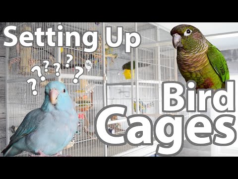 Wie Einrichten eines Cage up! | Themen