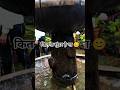 Wow 😱 #cute #shortvideo #shortsfeed #trending #minivlog #viral #shorts #viralvideo #ytshortsindia