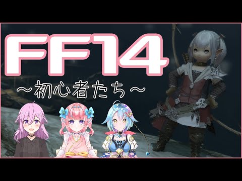 【FF14】FFにハマった初心者の末路...