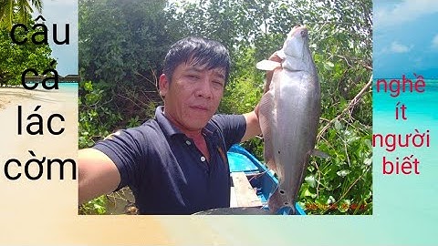 Câu Cá Thác Lác Cờm Cá Nàng Hai Trên Sông Lớn/Định Nguyễn Hậu Giang