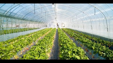 2: The greenhouse effect