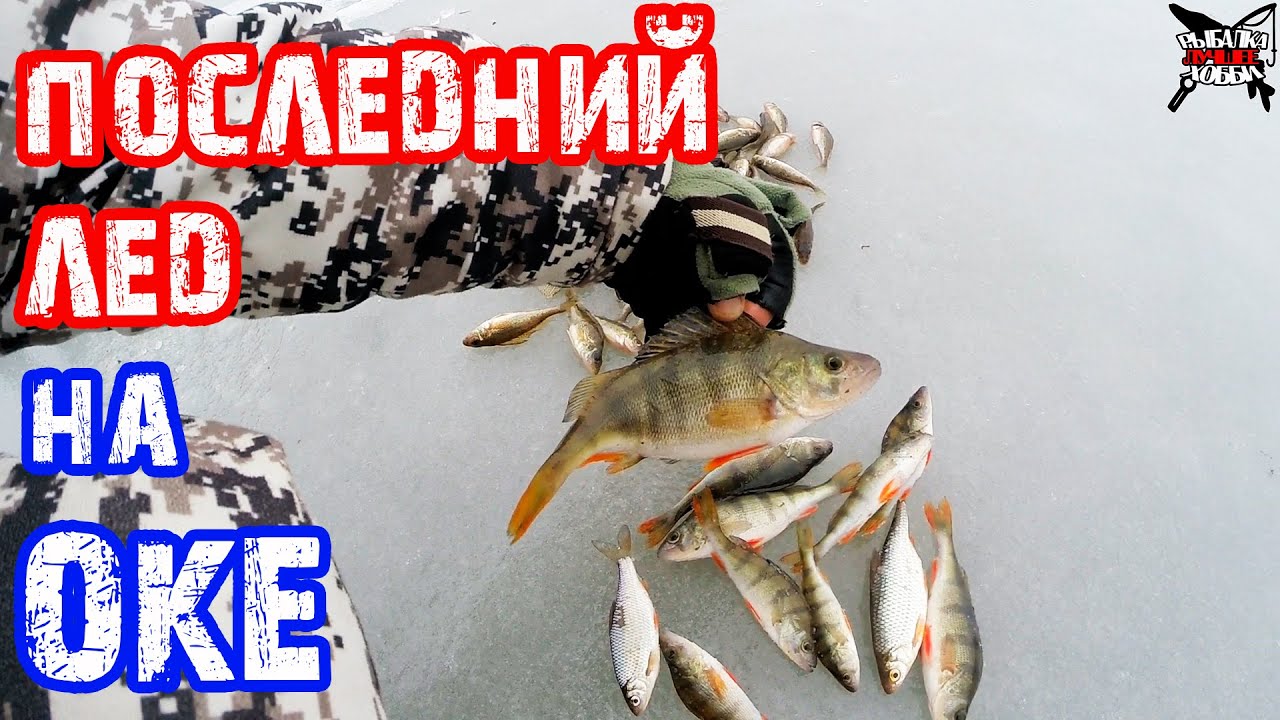 Где ловить на оке