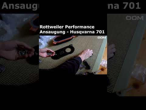 BESTE Ansaugung? Rottweiler