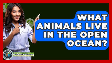 What Animals Live In The Open Ocean? - Earth Science Answers