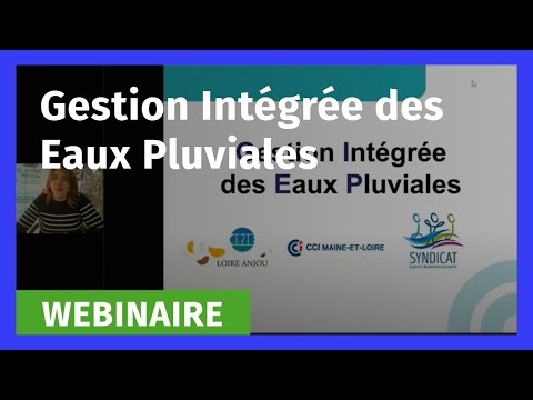 Vidéo: Pouvez-vous réparer du béton sur des racines d'arbre ? À l'aide, j'ai accidentellement coulé une terrasse en béton sur des racines d'arbre