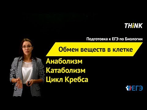 Обмен веществ в клетке | Подготовка к ЕГЭ по Биологии