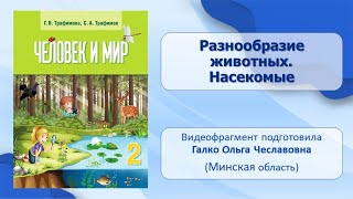 Тема 9. Разнообразие животных. Насекомые