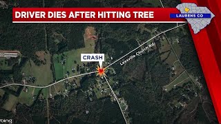 Tractor-trailer driver dies after hitting tree in road in Laurens Co. by FOX Carolina News 169 views 13 hours ago 29 seconds