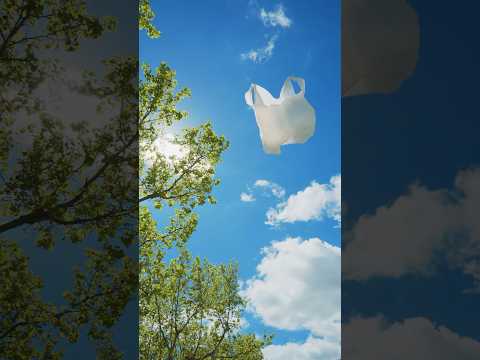 Don’t Look Up