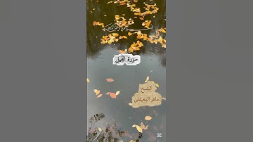 سورة الفيل#تلاوة_خاشعة #قرآن #راحة_نفسية