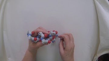 Constructing an Alpha Helix Backbone
