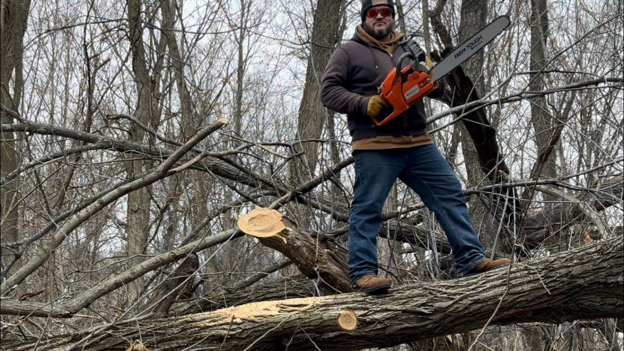 Cutting More Wood With My Husqvarna 455 - YouTube