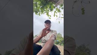 Hamara Toota Puta godown mein kitna Saman Rakha hua Hai#newvlogger
