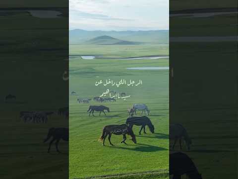 انظر لماذا عاتب الله سيدنا ابراهيم الشيخ الشعراوي