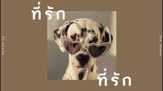 ที่รักที่รัก (Baby Boo) - Zee, NuNew (Speed up)