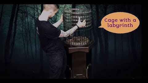 Cage with a labyrinth. Escape Room Puzzle