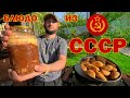 Как готовили в СССР Жареная картошка с тушёнкой