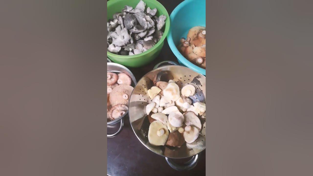 Ассорти из грибов 🤗🥰 - YouTube