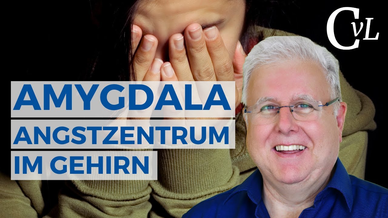 Die Amygdala - Dein Angstzentrum im Gehirn - Ursachen und Heilung