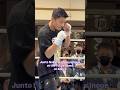 Is this the man to defeat #naoyainoue ?! #nakatani #boxing #gym #gymmotivation