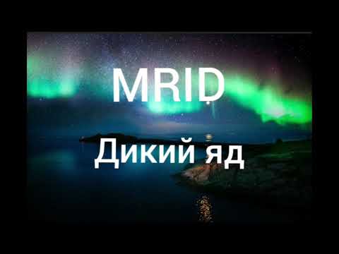 MriD/ Дикий яд/лирикс/текст песни/караоке