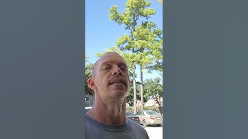 P2706 Dtc. Here we go with another adventure. 09 Hemi Ram 1500 #moparfam #hemi