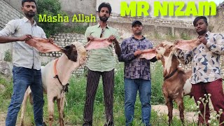 Mr Nizam goat farm ke barke ka transportation collection | all india transport available from Hyd