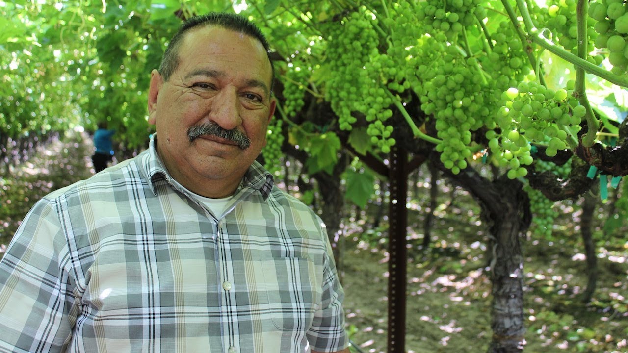 California Table Grape Crop Update with FLC George Rodriguez