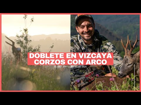 CORZO con ARCO a RECECHO en VIZCAYA 💥 DOBLETE con ARCO en permiso PAIS VASCO 💥 RECECHO DE INFARTO