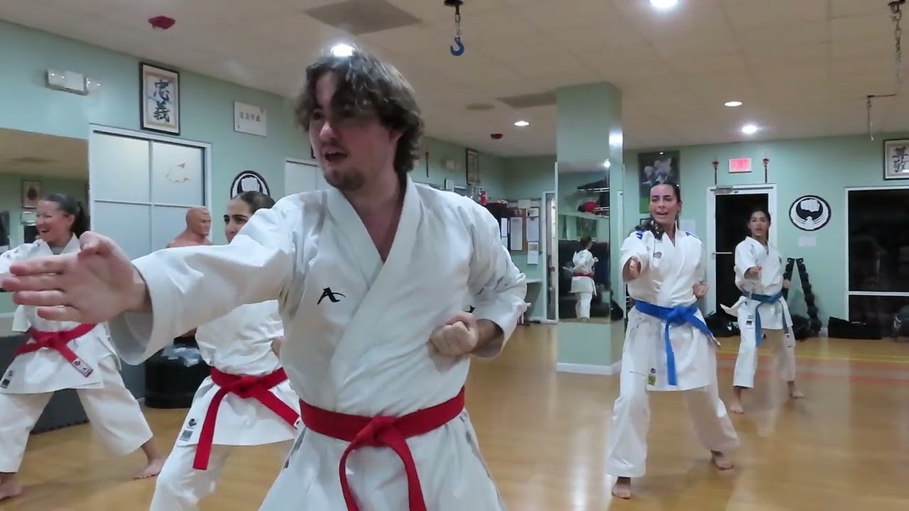 PINAN NIDAN MASARU SHINTANI WADO KARATE-DO RYUHA (DOJO STYLE