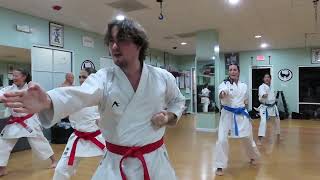Pinan Nidan Masaru Shintani Wado Karate-Do Ryuha Dojo Style
